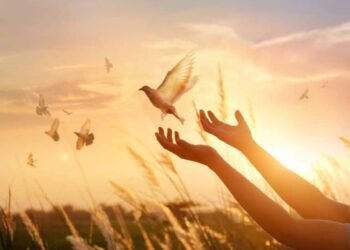 प्रार्थनाओं से बचना: सुदर्शन शर्मा की कविता