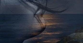 वो सपना जो हक़ीक़त में तब्दील हो गया: नीलिमा शर्मा की डायरी