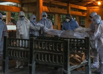 अथाह दुख में भी इस बात से राहत मिली कि नैतिकता जीवित है: शरद सिंह की डायरी