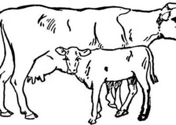 गौरा गाय: एक मार्मिक कथा (लेखिका: महादेवी वर्मा)