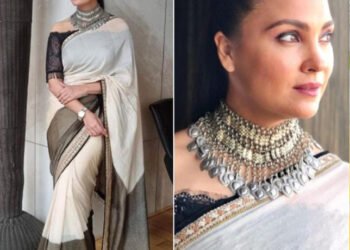 साड़ी के ग्रेसफ़ुल से लेकर ग्लैमरस अंदाज़, इन सितारों के साथ