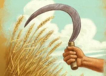 प्रजा और पूंजी: अखिलेश श्रीवास्तव की कविता