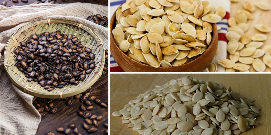 आप भूलने की आदत भूल जाएंगे, जब मगज चबाएंगे