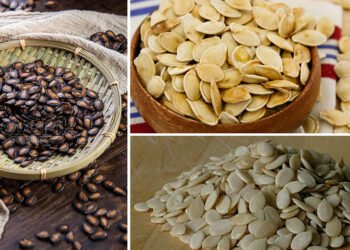 आप भूलने की आदत भूल जाएंगे, जब मगज चबाएंगे