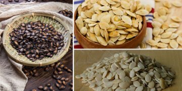 आप भूलने की आदत भूल जाएंगे, जब मगज चबाएंगे