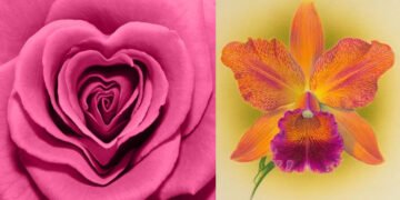 वैजिनिज़्मस क्या है और इससे कैसे उबरा जा सकता है?