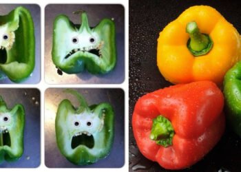 नज़र कमज़ोर हो रही हो तो ख़ुद को दें शिमला मिर्च का तोहफ़ा