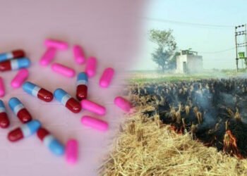 पराली को खाद में बदलेगा पांच रुपए का कैप्सूल, कम होगा वायु प्रदूषण