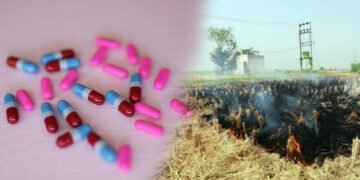 पराली को खाद में बदलेगा पांच रुपए का कैप्सूल, कम होगा वायु प्रदूषण