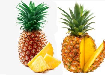 साइनसाइटिस से परेशान हैं? पाइनैप्पल से हाथ मिलाएं!