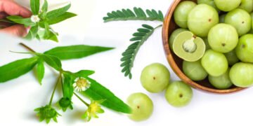 बालों को भृंगराज और आंवला का पोषण देना अब हुआ आसान