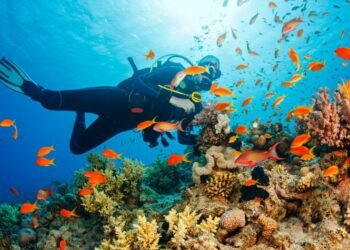 तारकरली: वॉटर स्पोर्ट्स का रोमांच महसूस करने की मुफ़ीद जगह