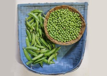 मटर के छिलके डायबिटिक लोगों के लिए होते हैं ज़बर्दस्त
