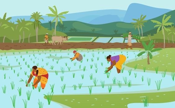 धान रोपती औरतों का प्यार: अरुण चन्द्र रॉय की कविता