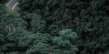 घने जंगल से गुज़रता हाइवे: चेतन कुम्हार की कविता