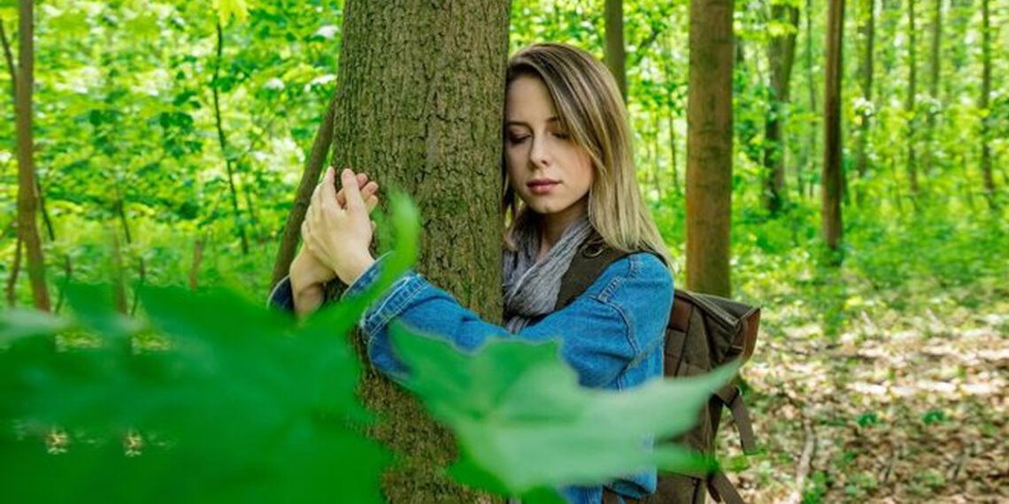 पेड़ों से आलिंगन, दूर भगाएगा डिप्रेशन