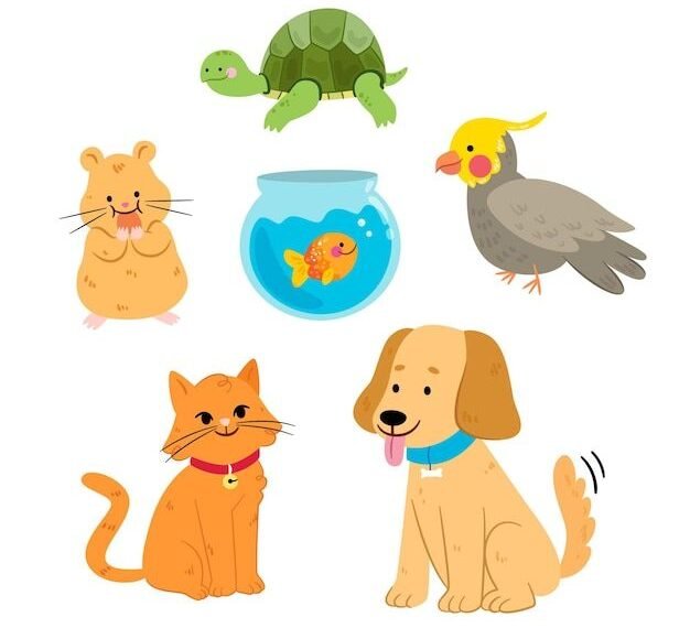 pets