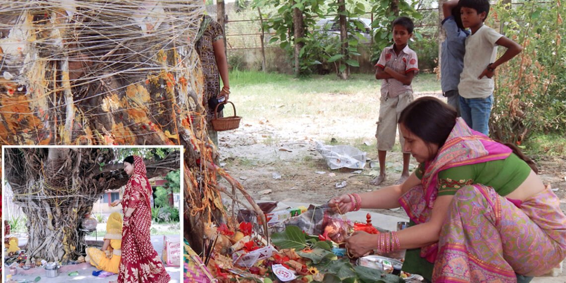 वट सावित्री गुंथा हुआ है पर्यावरण की रक्षा और सच्ची शिक्षा से