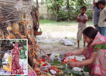 वट सावित्री गुंथा हुआ है पर्यावरण की रक्षा और सच्ची शिक्षा से