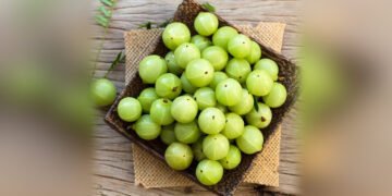 करें आंवले का इस्तेमाल, पाएं सेहतमंद और मज़बूत बाल