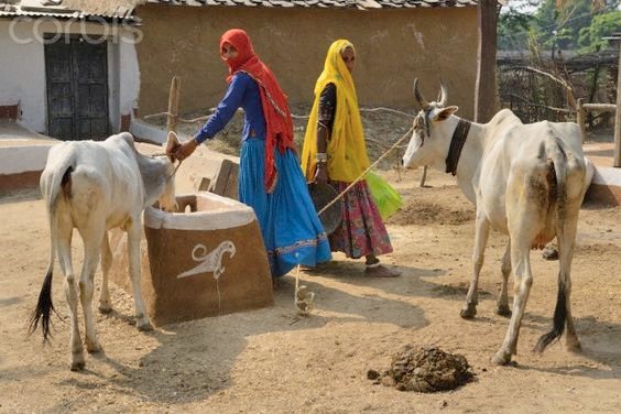 Women-farmers-of-India