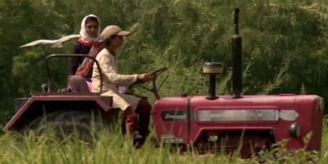 महिला किसान (दूसरी कड़ी): कृषि का नारीवादी सिद्धांत, जो ला सकता महिला किसानों के अच्छे दिन