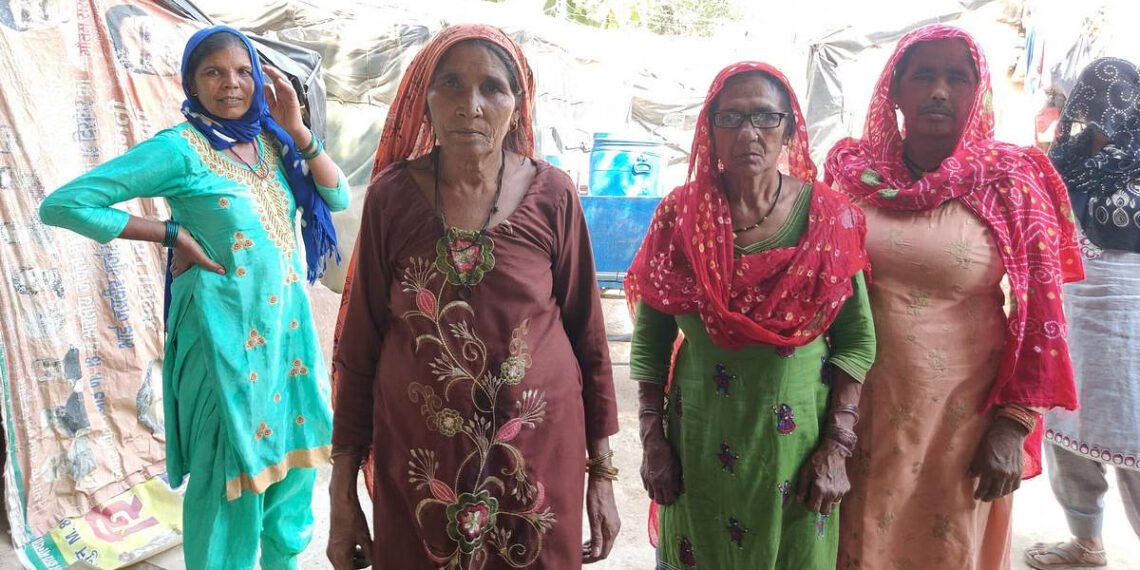 भारत में दलित, भारत के दलित (दूसरी कड़ी): हरियाणा की वंचित जातियों की संख्या और संघर्ष